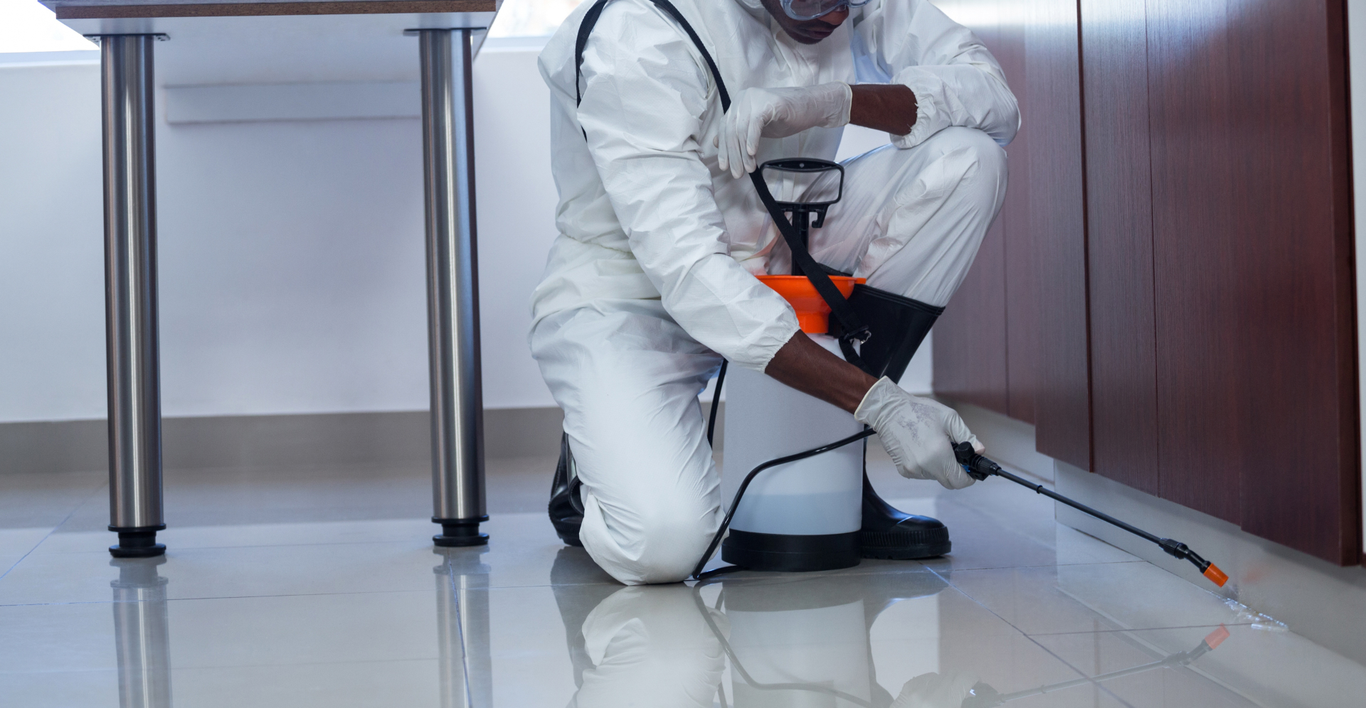 Newcastle and Sunderland Pest Control